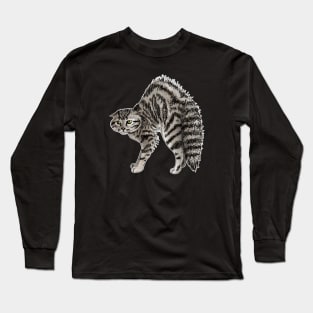 Scared cat Long Sleeve T-Shirt